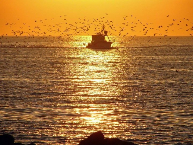 paseo en barco costa4.jpg
